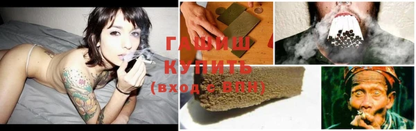 гашик Ладушкин