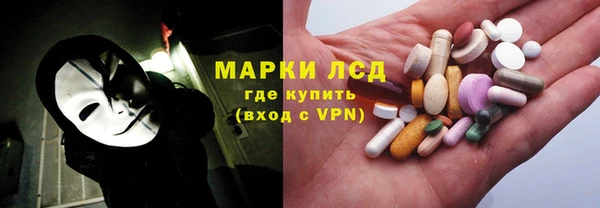 гашик Ладушкин